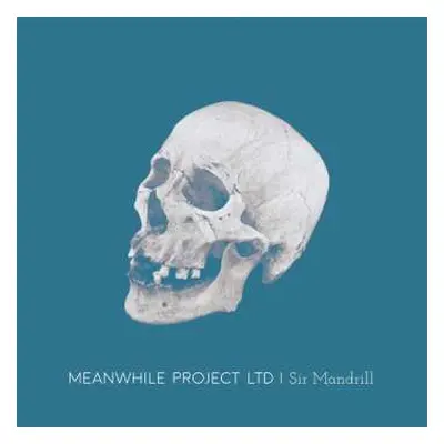 LP Meanwhile Project Ltd: Sir Mandrill