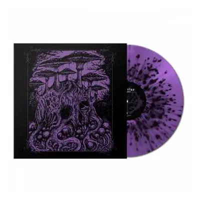 LP Vanhelga: Enfin Morte CLR | LTD