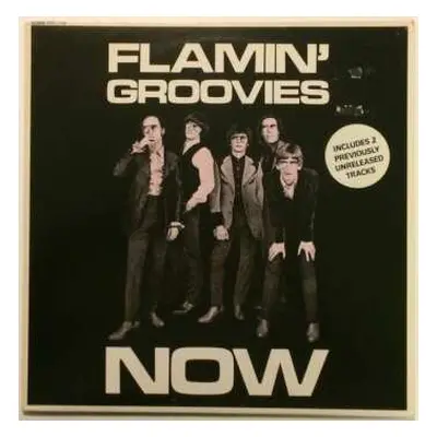 LP The Flamin' Groovies: Now