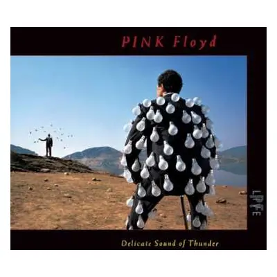 2CD Pink Floyd: Delicate Sound Of Thunder DIGI