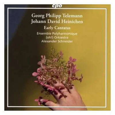 CD Georg Philipp Telemann: Early Cantatas