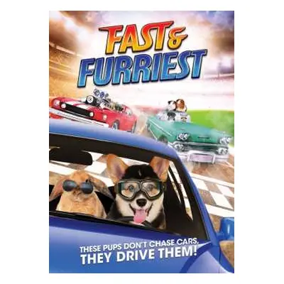 DVD Feature Film: Fast And Furriest