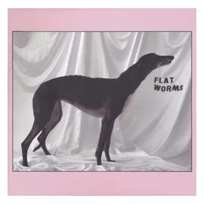 LP Flat Worms: Flat Worms