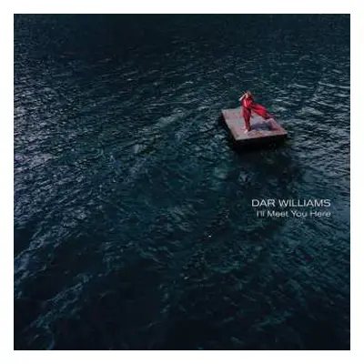 CD Dar Williams: I'll Meet You Here