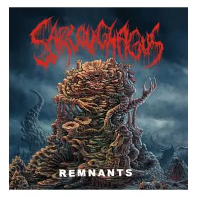 CD Sarcoughagus: Remnants