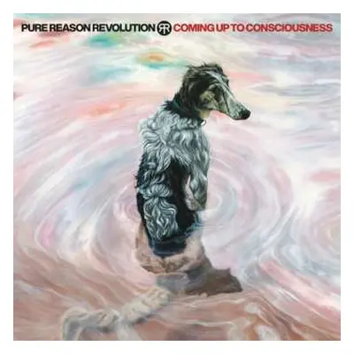 CD/DVD Pure Reason Revolution: Coming Up To Consciousness LTD