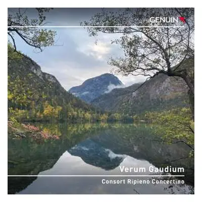 CD Various: Consort Ripieno Concertino - Verum Gaudium