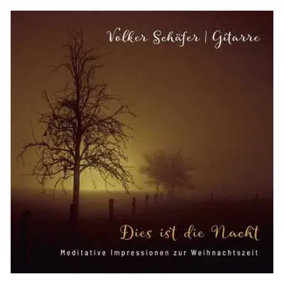 CD Various: Dies Ist Die Nacht - Meditative Impressionen Zur Weihnachtszeit