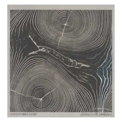 LP NEEDTOBREATHE: Rivers In The Wasteland