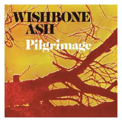 CD Wishbone Ash: Pilgrimage