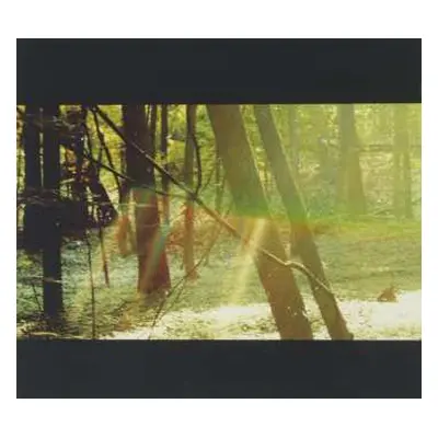 CD Childish Gambino: Camp