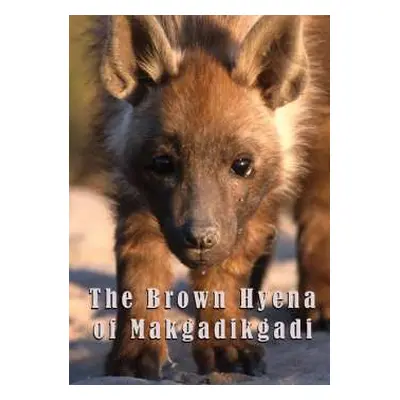 DVD Feature Film: The Brown Hyena Of Makgadikgadi