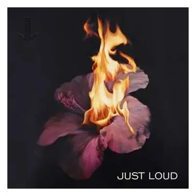 LP Just Loud: Just Loud CLR