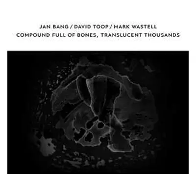 CD David & Jan Bang & Toop: Compound Full Of Bones, Translucent Thousands