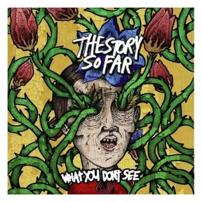 LP The Story So Far: What You Don't See