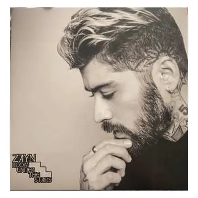 2LP ZAYN: Room Under the Stairs