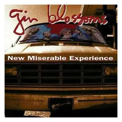 LP Gin Blossoms: New Miserable Experience