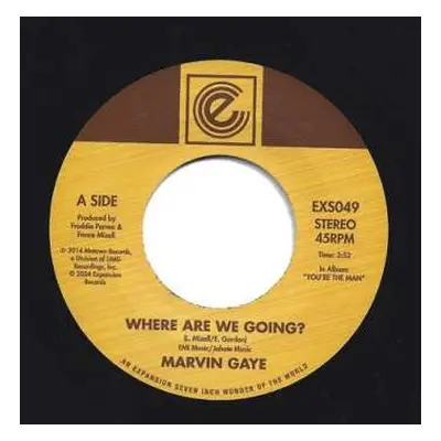 SP Marvin Gaye: Where Are We Going? / Woman Of The World