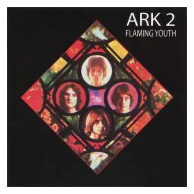 CD Flaming Youth: Ark 2