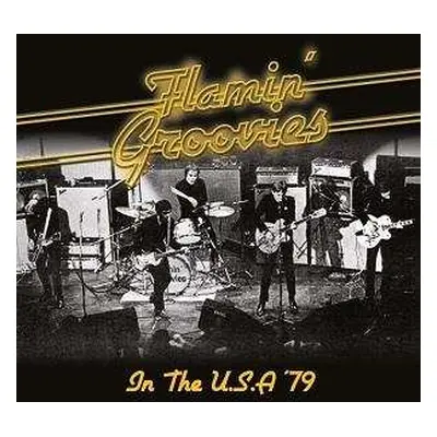 CD The Flamin' Groovies: In The U.S.A '79