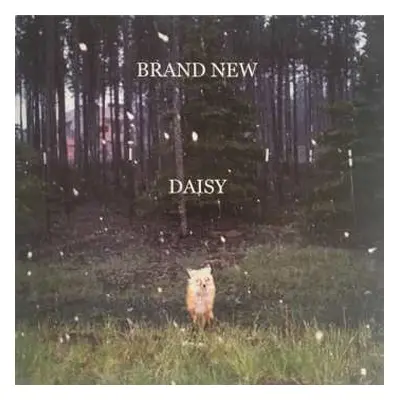 LP Brand New: Daisy