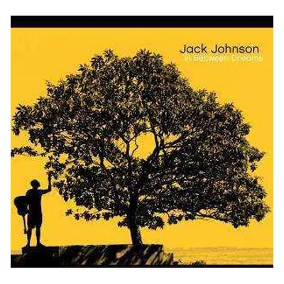 CD Jack Johnson: In Between Dreams