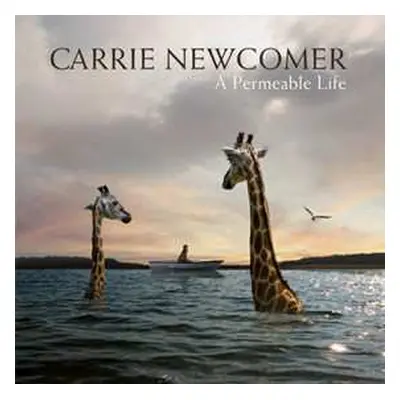 LP Carrie Newcomer: A Permeable Life