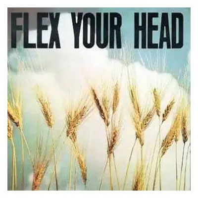 LP Various: Flex Your Head