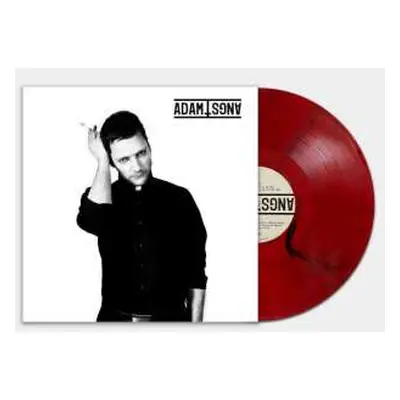 LP Donots: Donots / Adam Angst CLR | LTD