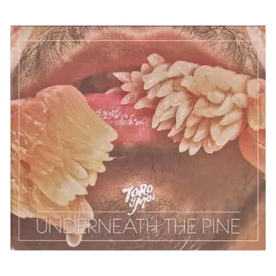 CD Toro Y Moi: Underneath The Pine