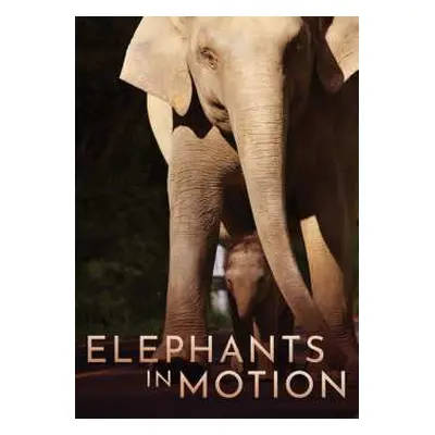 DVD Feature Film: Elephants In Motion