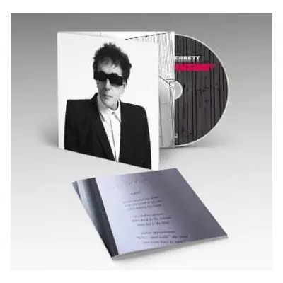 CD Peter Perrett: The Cleansing