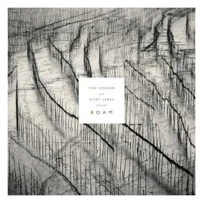 CD Tom Hobden: Roam