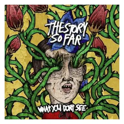 LP The Story So Far: What You Don't See