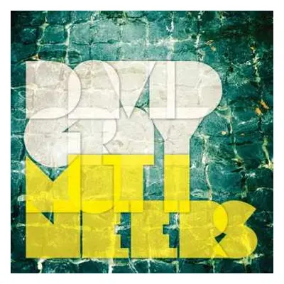 2LP David Gray: Mutineers