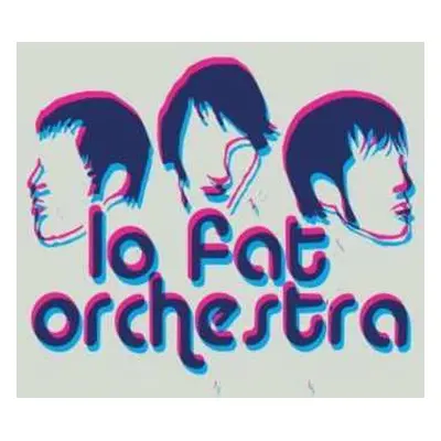 CD Lo Fat Orchestra: Questions For Honey