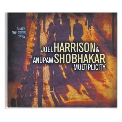 CD Joel Harrison: Multiplicity: Leave The Door Open