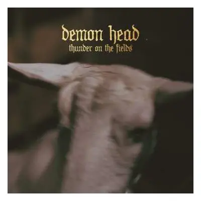 CD Demon Head: Thunder On The Fields