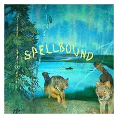 CD Boyscott: Spellbound