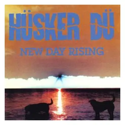 LP Hüsker Dü: New Day Rising