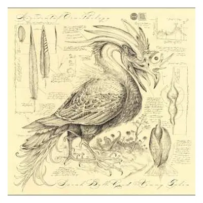 CD Various: Accidental Ornithology