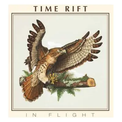 CD Time Rift: In Flight