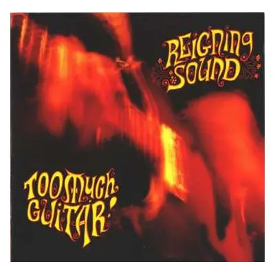 CD Reigning Sound: Too Much Guitar