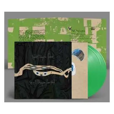 2LP Panda Bear: Spirit They're Gone Spirit They've Vanished CLR | LTD