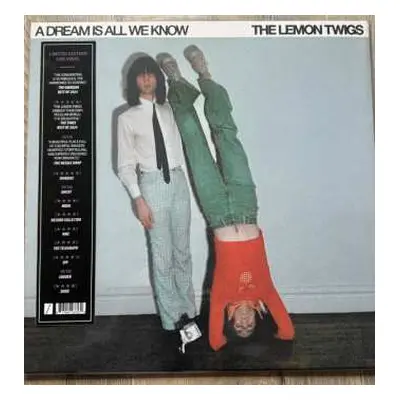 LP The Lemon Twigs: A Dream Is All We Know CLR | LTD