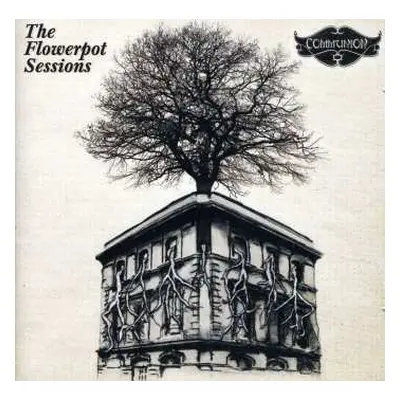 2CD Various: The Flowerpot Sessions