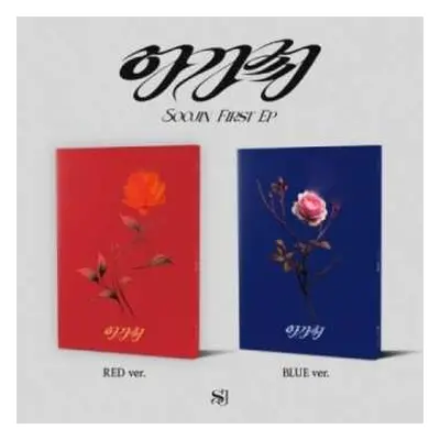 CD Seo Soo Jin: Agassy