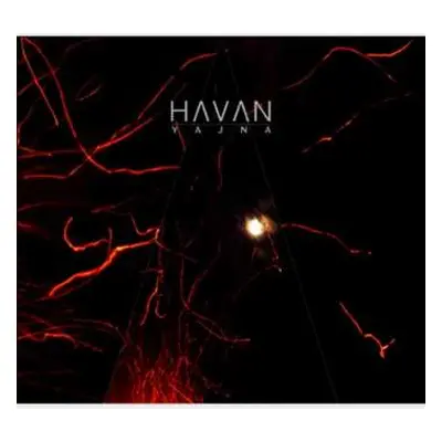 CD Havan: Yajna