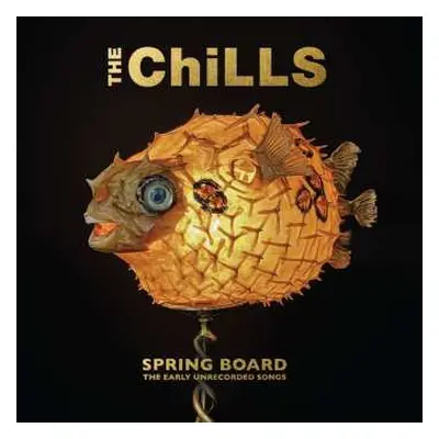 CD The Chills: Spring Board: The Early Unrecorded Songs