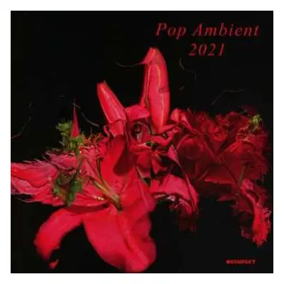 CD Various: Pop Ambient 2021